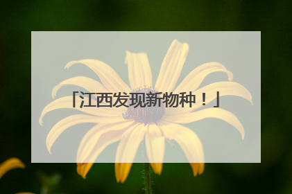 江西发现新物种！