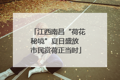 江西南昌“荷花秘境”夏日盛放 市民赏荷正当时