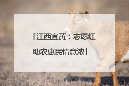 江西宜黄：志愿红助农惠民情意浓