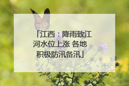 江西：降雨致江河水位上涨 各地积极防汛备汛