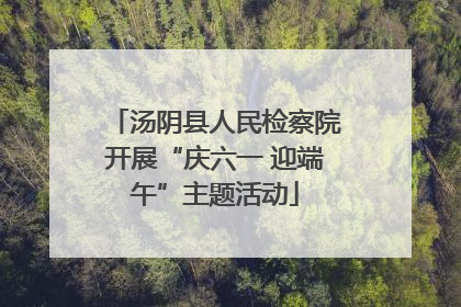 汤阴县人民检察院开展“庆六一 迎端午”主题活动