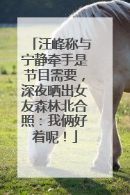 汪峰称与宁静牵手是节目需要，深夜晒出女友森林北合照：我俩好着呢！