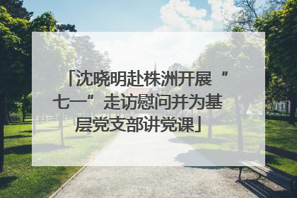 沈晓明赴株洲开展“七一”走访慰问并为基层党支部讲党课