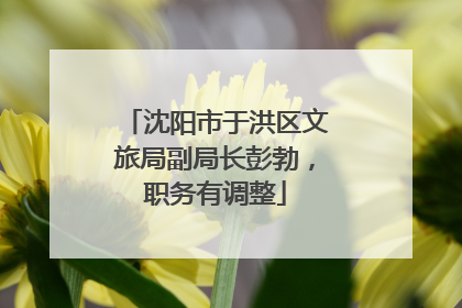 沈阳市于洪区文旅局副局长彭勃，职务有调整