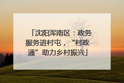 沈阳浑南区：政务服务进村屯，“村政通”助力乡村振兴