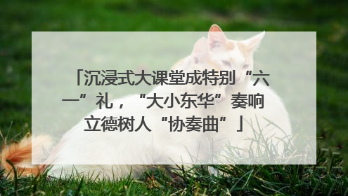 沉浸式大课堂成特别“六一”礼，“大小东华”奏响立德树人“协奏曲”