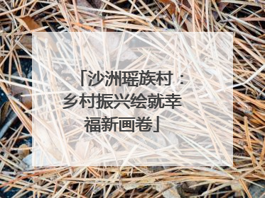 沙洲瑶族村：乡村振兴绘就幸福新画卷