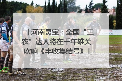 河南灵宝：全国“三农”达人将在千年雄关吹响《丰收集结号》