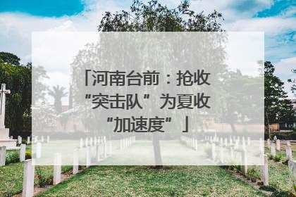 河南台前：抢收“突击队”为夏收“加速度”