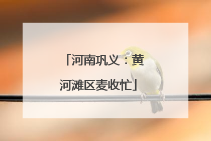 河南巩义：黄河滩区麦收忙