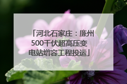 河北石家庄：廉州500千伏超高压变电站增容工程投运