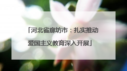 河北省廊坊市：扎实推动爱国主义教育深入开展