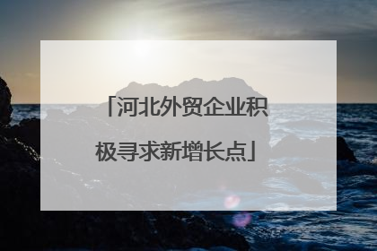 河北外贸企业积极寻求新增长点