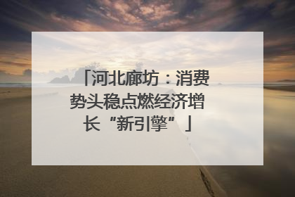 河北廊坊：消费势头稳点燃经济增长“新引擎”