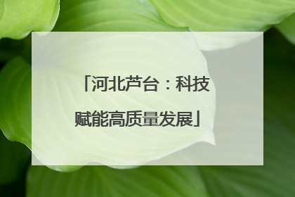 河北芦台：科技赋能高质量发展