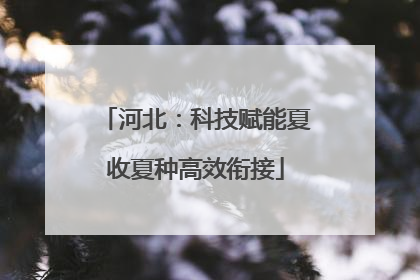河北：科技赋能夏收夏种高效衔接