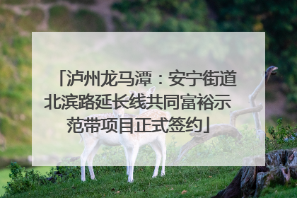 泸州龙马潭：安宁街道北滨路延长线共同富裕示范带项目正式签约