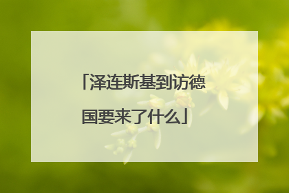 泽连斯基到访德国要来了什么
