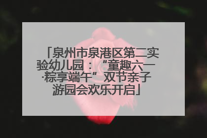 泉州市泉港区第二实验幼儿园：“童趣六一·粽享端午”双节亲子游园会欢乐开启