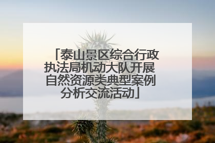 泰山景区综合行政执法局机动大队开展自然资源类典型案例分析交流活动