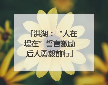 洪湖：“人在堤在”誓言激励后人勇毅前行