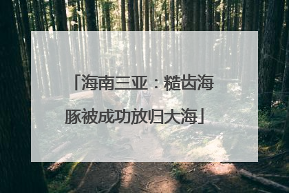 海南三亚：糙齿海豚被成功放归大海