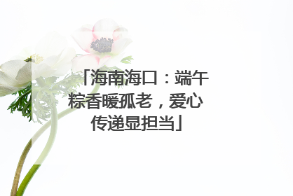 海南海口：端午粽香暖孤老，爱心传递显担当