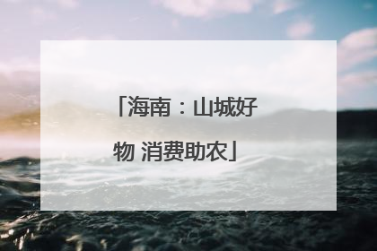 海南：山城好物 消费助农