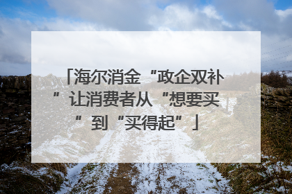 海尔消金“政企双补”让消费者从“想要买”到“买得起”