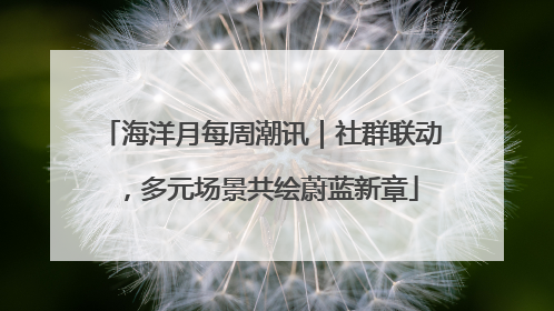 海洋月每周潮讯｜社群联动，多元场景共绘蔚蓝新章