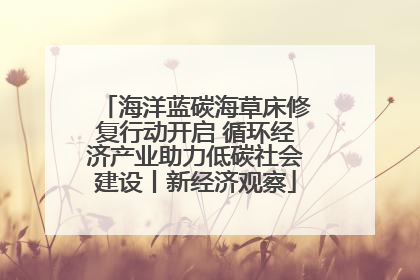 海洋蓝碳海草床修复行动开启 循环经济产业助力低碳社会建设丨新经济观察