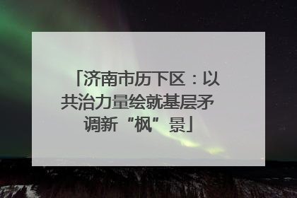 济南市历下区：以共治力量绘就基层矛调新“枫”景