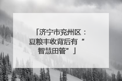 济宁市兖州区：夏粮丰收背后有“智慧田管”