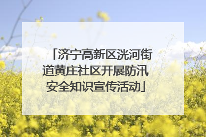 济宁高新区洸河街道黄庄社区开展防汛安全知识宣传活动