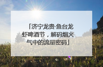 济宁龙贵·鱼台龙虾啤酒节，解码烟火气中的流量密码