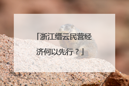 浙江缙云民营经济何以先行？