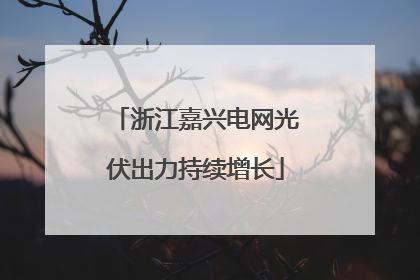 浙江嘉兴电网光伏出力持续增长
