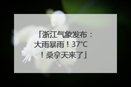 浙江气象发布：大雨暴雨！37℃！桑拿天来了