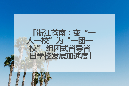 浙江苍南：变“一人一校”为“一团一校” 组团式督导督出学校发展加速度