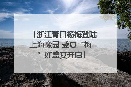 浙江青田杨梅登陆上海豫园 盛夏“梅”好盛宴开启