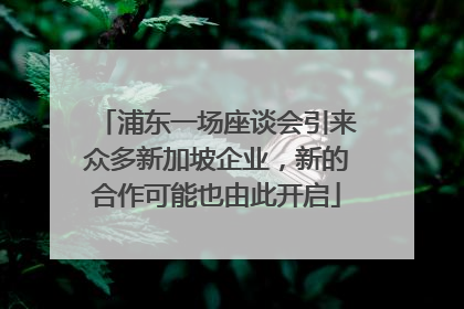 浦东一场座谈会引来众多新加坡企业，新的合作可能也由此开启