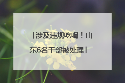涉及违规吃喝！山东6名干部被处理