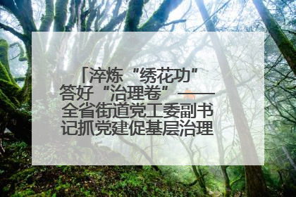 淬炼“绣花功” 答好“治理卷”——全省街道党工委副书记抓党建促基层治理培训示范班侧记