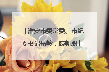 淮安市委常委、市纪委书记岳岭，履新职