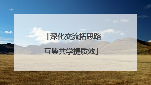 深化交流拓思路 互鉴共学提质效