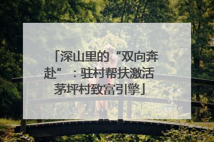 深山里的“双向奔赴”：驻村帮扶激活茅坪村致富引擎