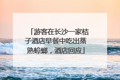 游客在长沙一家桔子酒店早餐中吃出蒸熟蟑螂，酒店回应