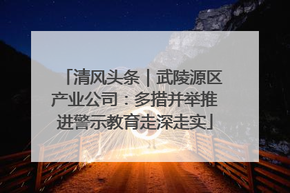 清风头条｜武陵源区产业公司：多措并举推进警示教育走深走实