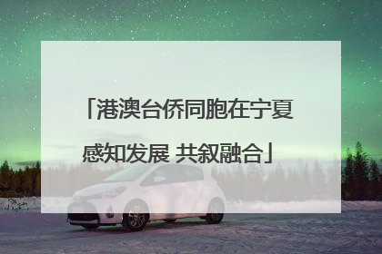 港澳台侨同胞在宁夏感知发展 共叙融合