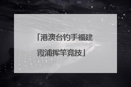 港澳台钓手福建霞浦挥竿竞技